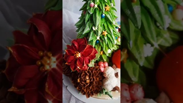XiaoYing_Video_1735115813282_HD