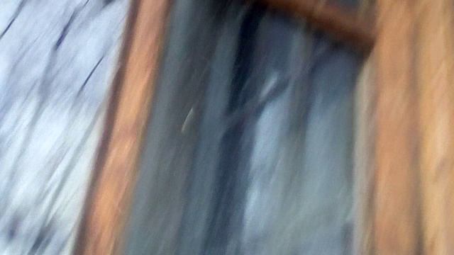 24 декабря 24 года