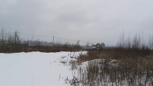 поле