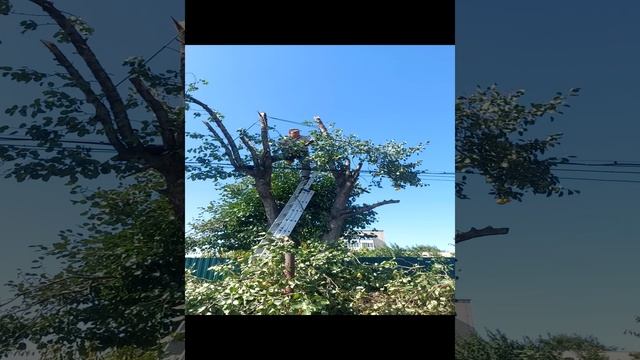 1000058996.mp4