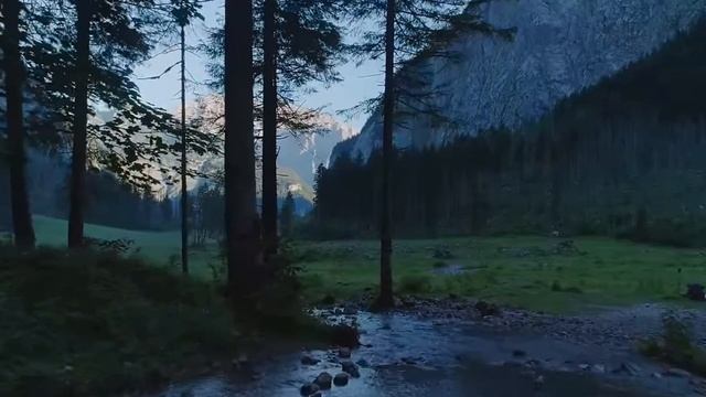 Одинокая гармонь.