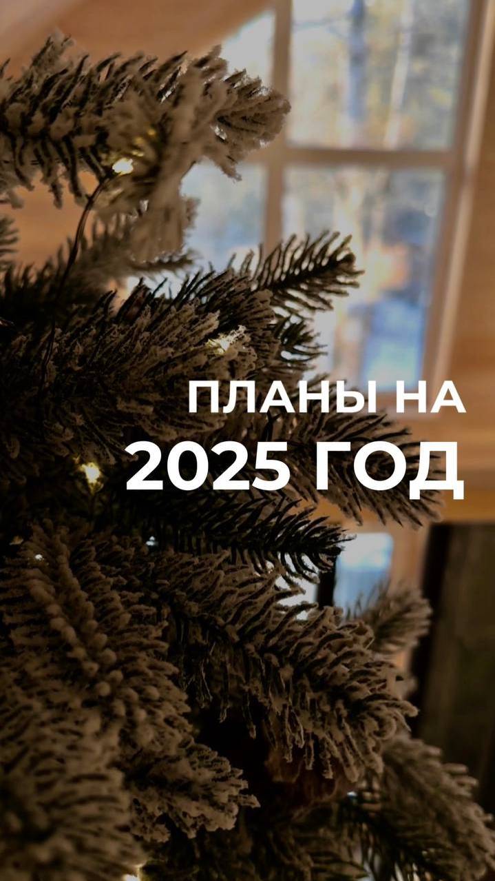 Строительные планы на Новый 2025-й год у Karkas Dom #новыйгод #новый2025 #каркасник #свойдом #видео