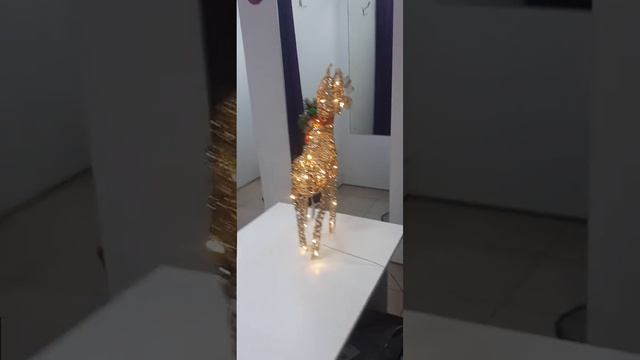 1000419134.mp4