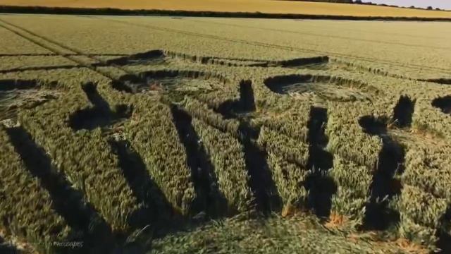 Круги на полях 44