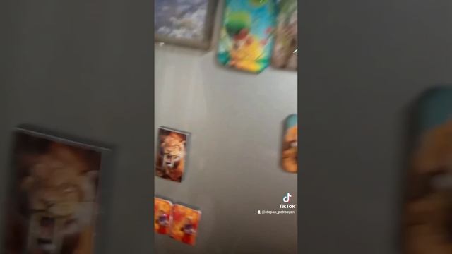 2024-12-23-231830207.mp4