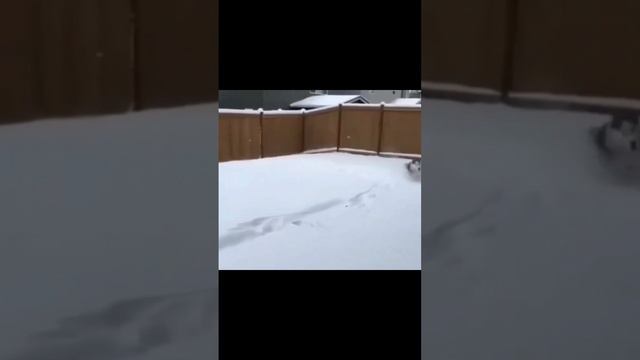 Наконец-то 🤣