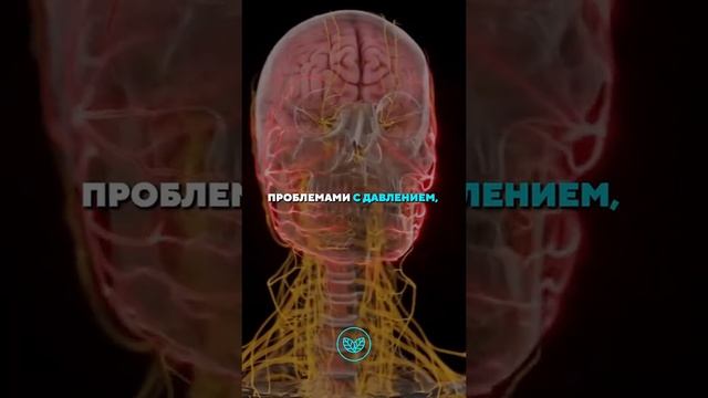 Капли от насморке #здоровье #рецепт #motivation