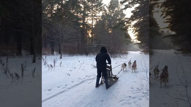 Наши любимцы❤️❤️❤️