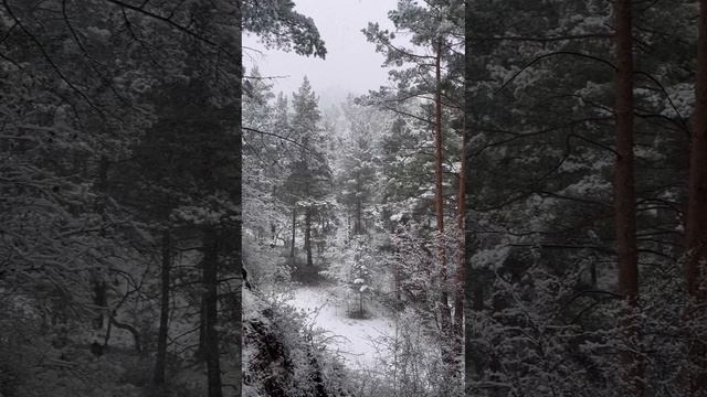 Сказочно красивый день в Чемале, год назад✨🤍.