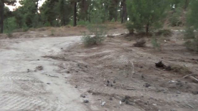 Поход с собаками к горной реке Мерон- 1ч.