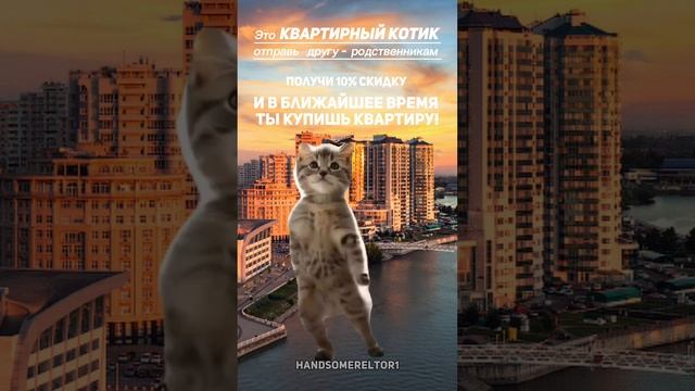 Вам встретился квартирный котик ,репостни (поделись) с другом и родственниками и  в ближайшее время