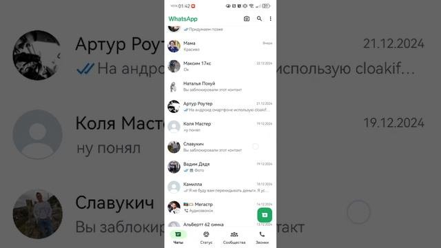 SVID_20241225_014229_1.mp4