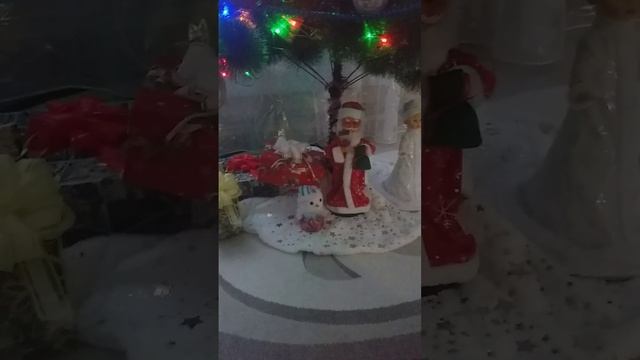 lv_0_20241223151209_001_001_001.mp4