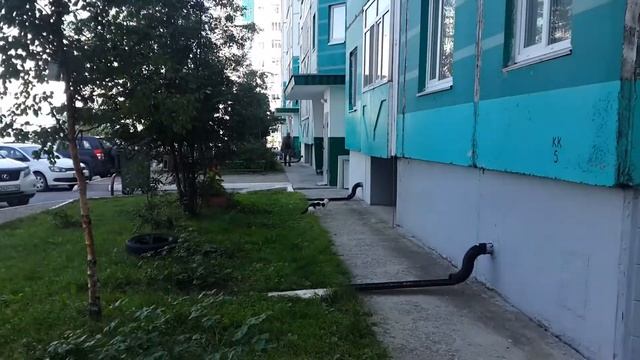 вело вартовск зимой и летом