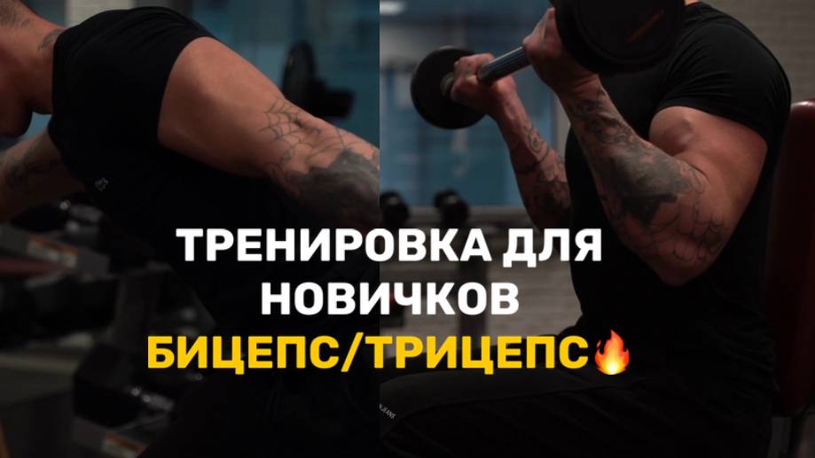 ТРЕНИРОВКА В ЗАЛЕ ДЛЯ НОВИЧКОВ НА БИЦЕПС/ТРИЦЕПС