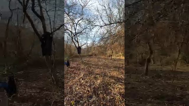 1000441592.mp4