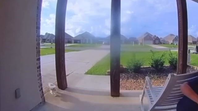 1000026444.mp4