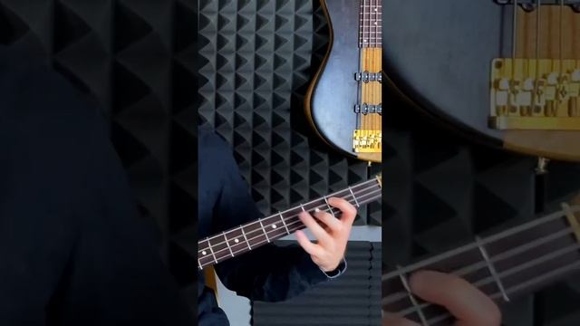 Isn’t She Lovely (Stevie Wonder) на БАС-ГИТАРЕ ☺️ #басгитара #bass #твойбас #bassplayer #шортс