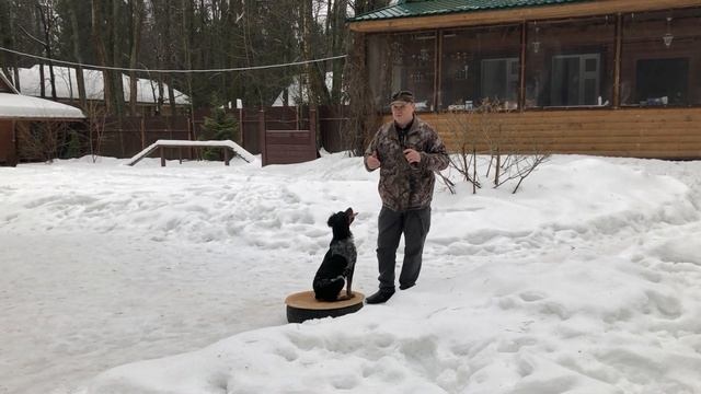 Апортировка. Шестой этап занятий с Лилу