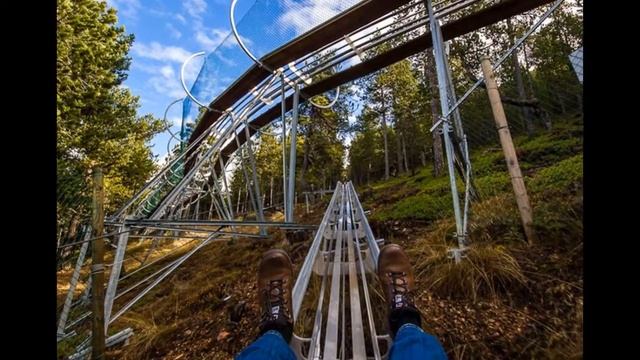 Лесные санки  скоростные санки