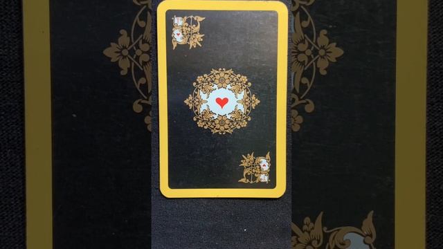 Интуитивный прогноз на сегодня. 25 декабря 2024