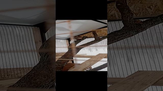 25-12-2024 наш парк