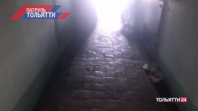 "Патруль Тольятти" 29.07.2024