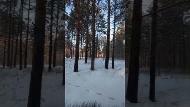 Зима — это время приключений, и у нас есть идеальный способ провести его с пользой и удовольствием!