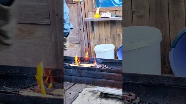 Домашние будни