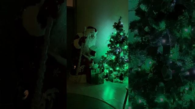 VID_20241225_064618_546.mp4.mov