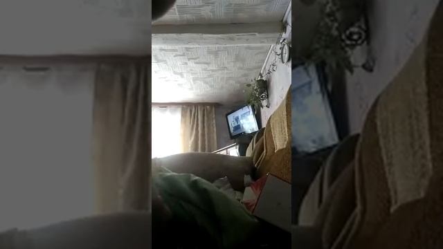 Конфеты новогодний (Часть 2)