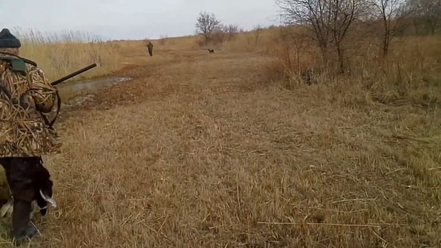 Охоты прошлых лет,фрагменты