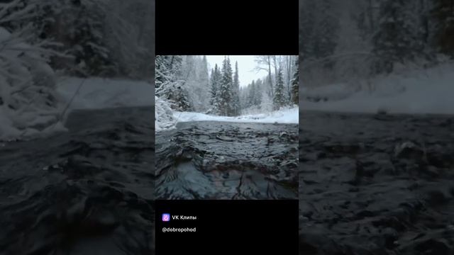 clip80882981_456240187