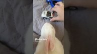 Учу кролику #игрушки #машина #кролик.mp4