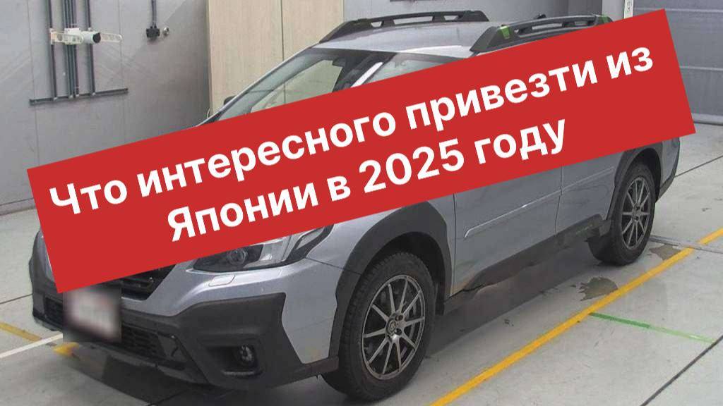 Какие интересные авто выгодно привозить в 2024-2025 гг.