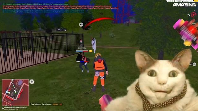 СУДНАЯ НОЧЬ | AMAZING ONLINE в GTA CRMP