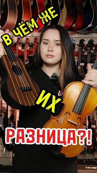 Чем отличается укулеле от скрипки? #majormusic #ukulele #скрипка #скрипач #отличия #укулелефлайт