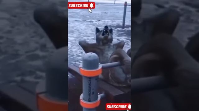 АУФ