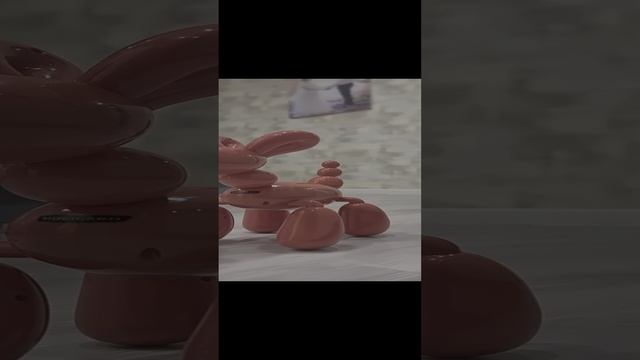 всем привет у меня новая собака зовут шарик как вам