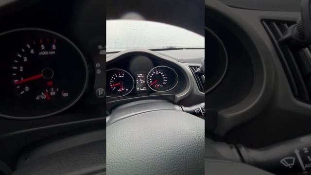 VID_20241220_131735_083.mp4.mov