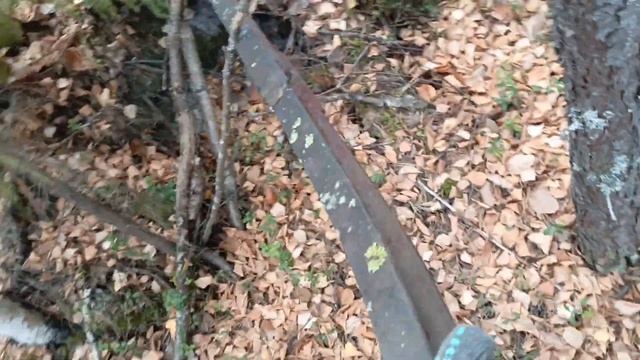Продолжаем пополнять железную копилку. Нашел алюминиевый кабель. 19.10.2024 #Металлокоп #Коп металла