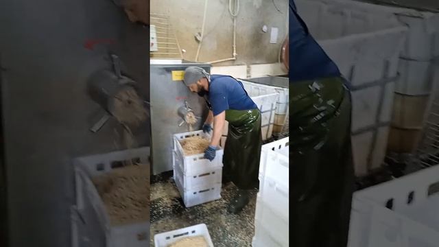 выгрузка котел 800л