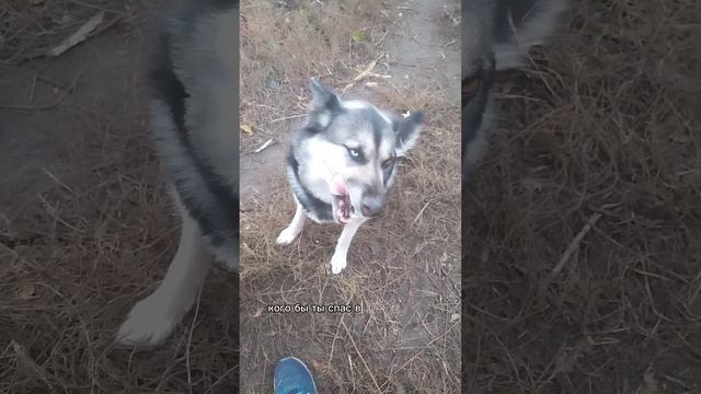 Если бы твои родственники тонули