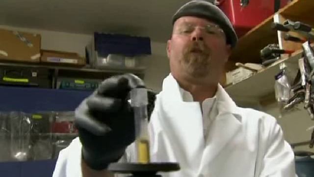 Mythbusters_136