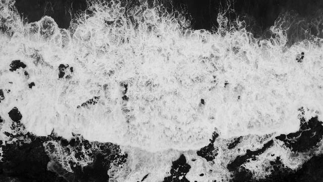 wave black & white