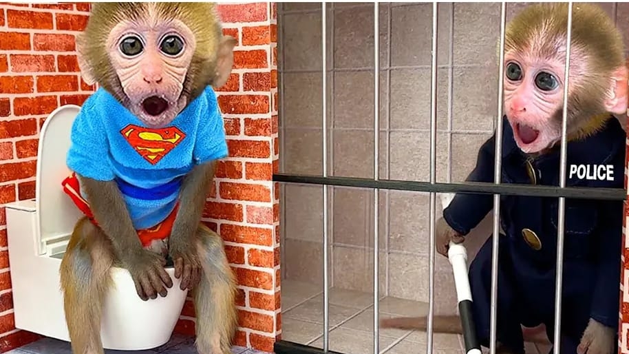 Обезьянка Бон Бон сбегает из удивительного лабиринта