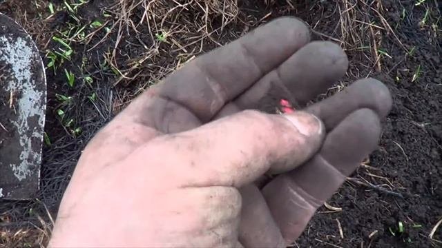 Полноценное открытие сезона!