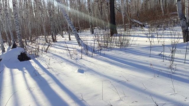 Проверка капканов часть 〽️ 6.