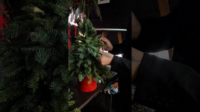 Создаем елочку🎄