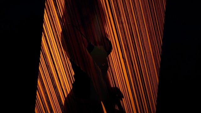 Рыжая бестия . Игорь Плисов.wmv
